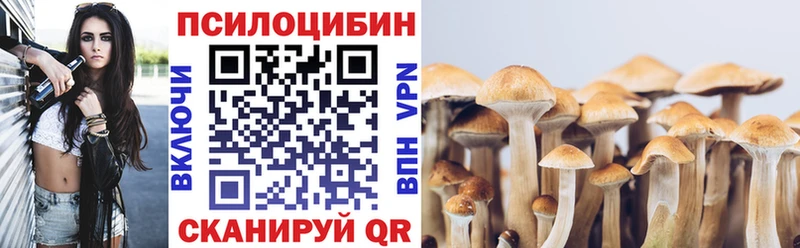наркотики  Ревда  Галлюциногенные грибы Psilocybine cubensis 